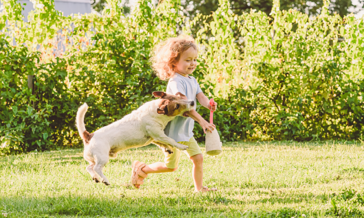 Dog Bite Injuries