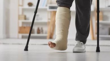 Is the City of New York Responsible If I’m Injured by a Falling Tree?